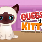 Guess The Kitty